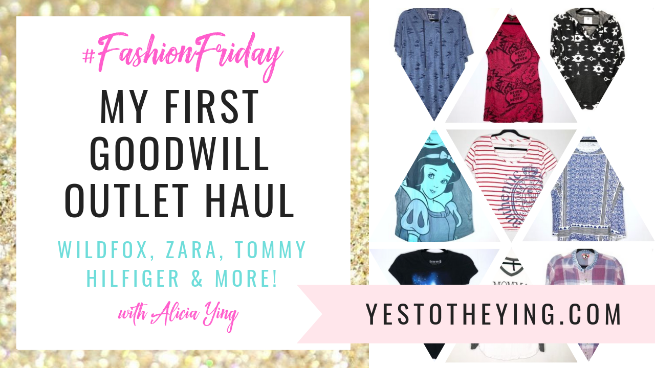 1st goodwill outlet haul YT